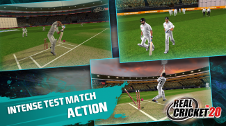 Real Cricket 20